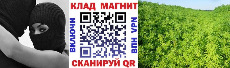 Купить закладку Псилоцибиновые грибы  МАРИХУАНА  МЕФ  ГАШИШ  Нижний Тагил