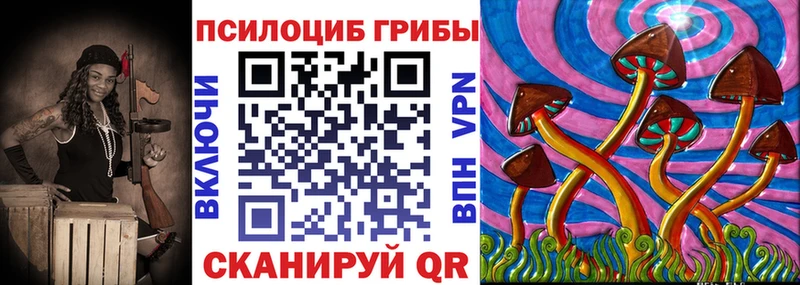 Купить закладки  Нижний Тагил  Псилоцибиновые грибы Psilocybe 